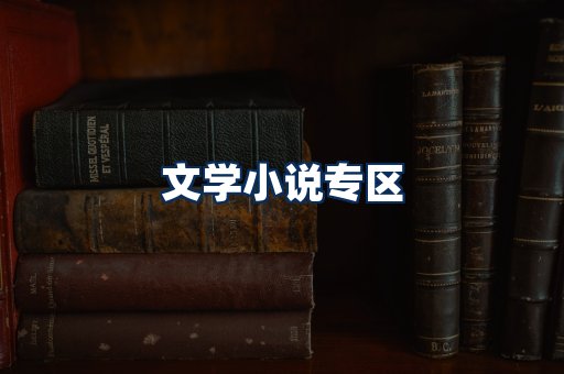 文学小说PDF展示